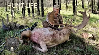 Bowhunting the rut.