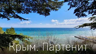 Crimea. Partenit: beaches, restaurants, the park of the Crimea and Aivazovsky. Crimean cats