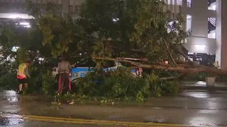 Storm topples tree onto Orlando Police car