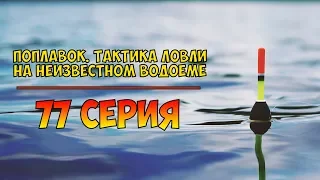 Серия 77. Поплавок. Тактика ловли на неизвестном водоёме. Рыбалка с Нормундом Грабовскисом.