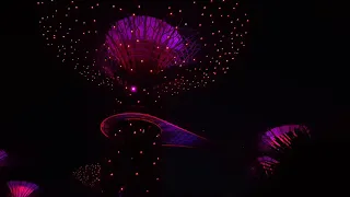 Gardens by the Bay Singapore  Lightshow