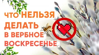 ✅ Что категорически НЕЛЬЗЯ ДЕЛАТЬ В ВЕРБНОЕ ВОСКРЕСЕНЬЕ ПРАЗДНИК 2024 / ЧТО МОЖНО И НУЖНО / ПРИМЕТЫ