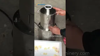 Small Home use Garlic Peeler Machine