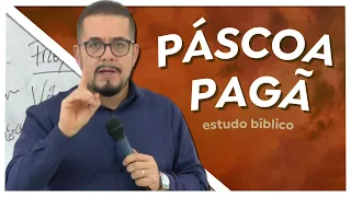 Coelho da Páscoa PAGÃ - Estudo Bíblico - Teologia - Palavra - Estudo Teológico