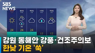 한낮 기온 '쑥'…강원 동해안 강풍 · 건조주의보 / SBS