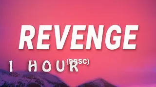 [ 1 HOUR ] tan feelz - Revenge DBSC (Lyrics)