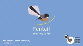 Fantail: the story so far.  New Zealand Garden Bird Survey 2007 - 2015