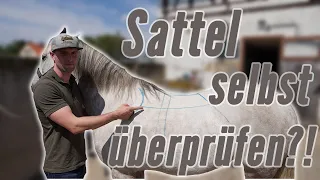 So kannst auch du deinen Sattel überprüfen! | Reitsport-Rheinmain