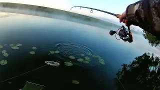 Ловля на фидер с ночёвкой на реке. Отличная рыбалка! (LiveFishing)