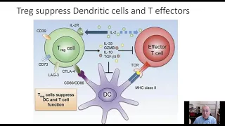 New Checkpoints and Biomarkers