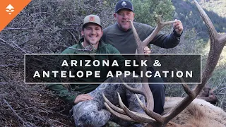 What You Need To Know - Arizona Elk & Antelope Application