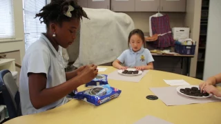 Oreo Moon Phase Activity