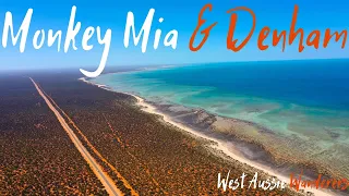 Monkey Mia & Denham | Shark Bay | North West WA Series | Ep 14