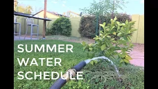 Summer Watering Schedule-Plants  Thriving in the Desert!!!