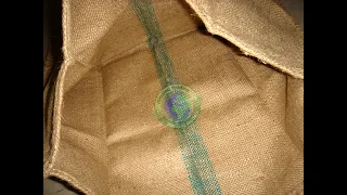 Green Stripe Jute Gunny Sack inspect by Algerian Buyer inside factory for Algeria market #JuteSack