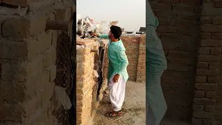 how to pigeon catch in Pakistan and India 🕊️🥰🐦#kabutar #youtubeshorts #shorts