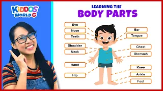 Learning the Parts of the Body for Children with Miss V