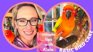 BASIC BIRD CARE | 5 MINUTE TIPS WITH ALICIA