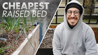 Cheapest way to make and fill up a Raised Bed | Hugelkultur