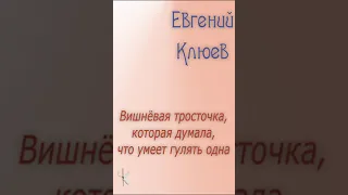 Евгений Клюев "Вишнёвая тросточка, которая думала, что умеет гулять одна"