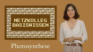 Netzkolleg Basiswissen – Photosynthese (Grundlagen der Biologie)