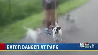 Woman wants gators removed from St. Pete park after dog killed