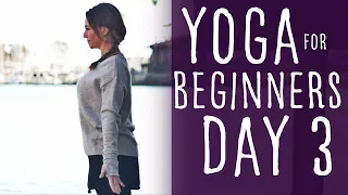 Yoga For Beginners At Home 30 Day Challenge (15 min) Day 3