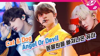 TXT (투모로우바이투게더) - Cat & Dog + Angel Or Devil + 동물원을 빠져나온 퓨마 | TOMORROW X TOGETHER COMEBACKSHOW