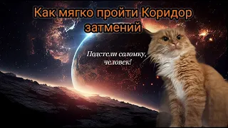 Как мягко пройти Коридор затмений #рэйки #коридорзатмений #духовныепрактики