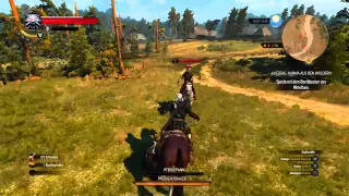 The Witcher 3: Wild Hunt OnPSX Quick Look