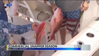 Charter boats gear up for start of red snapper season in Alabama June 1