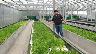 MADE Commercial Aquaponics System