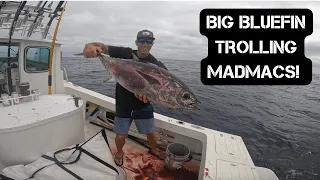 Trolling Nomad Madmacs // Bluefin Tuna Fishing // Dorado Fishing // Yellowtail fishing