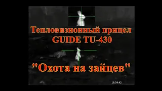 Зайцы. Тестируем тепловизионный прицел Guide TU430