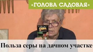 Голова садовая - Польза серы на дачном участке