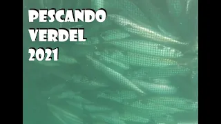 Pescando verdel 2021