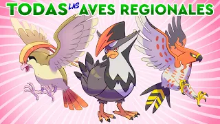 TODAS LAS AVES REGIONALES EXPLICADAS