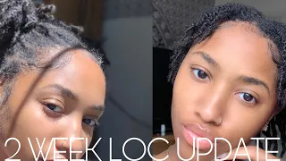 2 Week Starter Loc Update | LOC JOURNEY