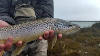 Late season Western Lake Trout fishing || + Penstock lagoon fly fishing.