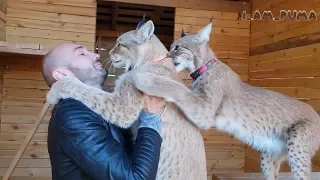 Месси в гостях у BobCat! Messi was the guest of the BobCat!