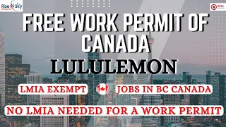 Job Offer without LMIA & Canada Work Permit -Announced by IRCC Latest Immigration Updates #lmia #job