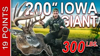The Hunt For Dozer A MASSIVE 200 INCH DEER w/ a BOW! | Josh Bowmar |