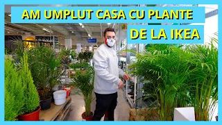 AM UMPLUT CASA CU PLANTE DE LA IKEA! (Sesiune de Cumpărături)