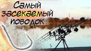 В ЭТОМ ОЗЕРЕ ПОЛНО КАРПА, НА ЧТО КЛЮЕТ КАРП? Карпфишинг Озера Адыгеи