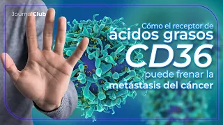 Journal club: targeting metastasis-initiating cells through the fatty acid receptor CD36