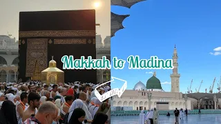 Makkah to Madina travel by road || 4 ways to reach Madina from Makkah