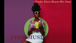 Funky Disco House Mix June