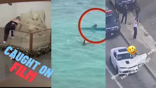 Insane Shark Attack Caught In 4K