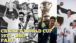 Cricket World Cup Winning Moment Part1