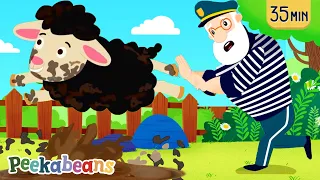 Baa Baa Black Sheep Song | Wheels On The Bus & More Peekabeans #kidssongs & #nurseryrhymes